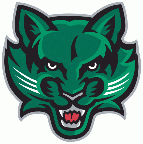 Binghamton Bearcats 2001-Pres Secondary Logo v2 diy DTF decal sticker